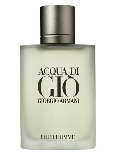 GIORGIO ARMANI ACQUA DI GIO EDT 100ML