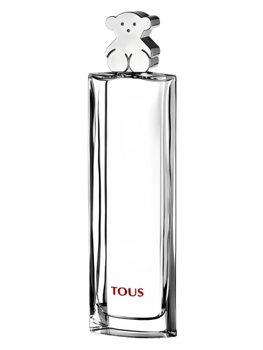 TOUS SILVER