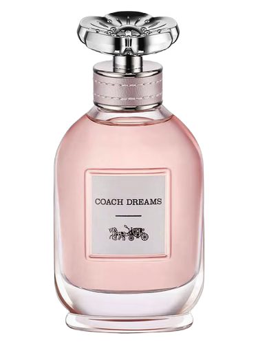 COACH NEW YORK DREAMS