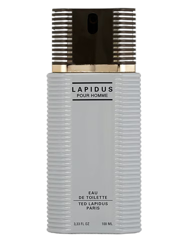 TED LADIPUS EDT POUR HOMME